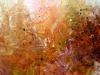 Adhesion